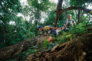 BIB: 
                            <button type="button" onclick="openModal(22778556)" class="btn btn-primary btn-sm float-right btn-popup" data-toggle="modal" data-target=".modal-high-quality">
                        <i class="fas fa-shopping-cart"></i> Add to Cart
                    </button>
                                            <button type="button" onclick="isThisMe(22778556, true)" class="btn btn-success btn-sm float-right btn-popup btn-isme hidden" data-toggle="tooltip" data-placement="bottom" title="นี่คือรูปของคุณใช่ไหม คลิกที่นี่เพื่อเอาเข้าอัลบั้ม">
                        <i class="fas fa-plus"></i> Add to album
                    </button>
                    <button type="button" onclick="isThisMe(22778556, false)" class="btn btn-warning btn-sm float-right btn-popup btn-isnotme hidden">
                        <i class="fas fa-ban"></i> Remove from album
                    </button>