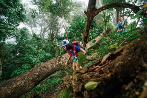 BIB: 
                            <button type="button" onclick="openModal(22779013)" class="btn btn-primary btn-sm float-right btn-popup" data-toggle="modal" data-target=".modal-high-quality">
                        <i class="fas fa-shopping-cart"></i> Add to Cart
                    </button>
                                            <button type="button" onclick="isThisMe(22779013, true)" class="btn btn-success btn-sm float-right btn-popup btn-isme hidden" data-toggle="tooltip" data-placement="bottom" title="นี่คือรูปของคุณใช่ไหม คลิกที่นี่เพื่อเอาเข้าอัลบั้ม">
                        <i class="fas fa-plus"></i> Add to album
                    </button>
                    <button type="button" onclick="isThisMe(22779013, false)" class="btn btn-warning btn-sm float-right btn-popup btn-isnotme hidden">
                        <i class="fas fa-ban"></i> Remove from album
                    </button>