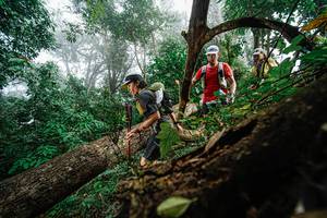 BIB: 
                            <button type="button" onclick="openModal(22778888)" class="btn btn-primary btn-sm float-right btn-popup" data-toggle="modal" data-target=".modal-high-quality">
                        <i class="fas fa-shopping-cart"></i> Add to Cart
                    </button>
                                            <button type="button" onclick="isThisMe(22778888, true)" class="btn btn-success btn-sm float-right btn-popup btn-isme hidden" data-toggle="tooltip" data-placement="bottom" title="นี่คือรูปของคุณใช่ไหม คลิกที่นี่เพื่อเอาเข้าอัลบั้ม">
                        <i class="fas fa-plus"></i> Add to album
                    </button>
                    <button type="button" onclick="isThisMe(22778888, false)" class="btn btn-warning btn-sm float-right btn-popup btn-isnotme hidden">
                        <i class="fas fa-ban"></i> Remove from album
                    </button>