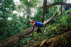 BIB: 
                            <button type="button" onclick="openModal(22778539)" class="btn btn-primary btn-sm float-right btn-popup" data-toggle="modal" data-target=".modal-high-quality">
                        <i class="fas fa-shopping-cart"></i> Add to Cart
                    </button>
                                            <button type="button" onclick="isThisMe(22778539, true)" class="btn btn-success btn-sm float-right btn-popup btn-isme hidden" data-toggle="tooltip" data-placement="bottom" title="นี่คือรูปของคุณใช่ไหม คลิกที่นี่เพื่อเอาเข้าอัลบั้ม">
                        <i class="fas fa-plus"></i> Add to album
                    </button>
                    <button type="button" onclick="isThisMe(22778539, false)" class="btn btn-warning btn-sm float-right btn-popup btn-isnotme hidden">
                        <i class="fas fa-ban"></i> Remove from album
                    </button>