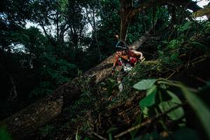 BIB: 
                            <button type="button" onclick="openModal(22774990)" class="btn btn-primary btn-sm float-right btn-popup" data-toggle="modal" data-target=".modal-high-quality">
                        <i class="fas fa-shopping-cart"></i> Add to Cart
                    </button>
                                            <button type="button" onclick="isThisMe(22774990, true)" class="btn btn-success btn-sm float-right btn-popup btn-isme hidden" data-toggle="tooltip" data-placement="bottom" title="นี่คือรูปของคุณใช่ไหม คลิกที่นี่เพื่อเอาเข้าอัลบั้ม">
                        <i class="fas fa-plus"></i> Add to album
                    </button>
                    <button type="button" onclick="isThisMe(22774990, false)" class="btn btn-warning btn-sm float-right btn-popup btn-isnotme hidden">
                        <i class="fas fa-ban"></i> Remove from album
                    </button>