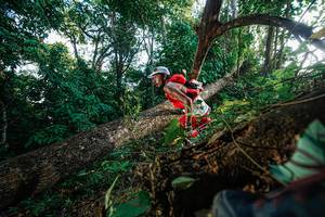 BIB: 
                            <button type="button" onclick="openModal(22777484)" class="btn btn-primary btn-sm float-right btn-popup" data-toggle="modal" data-target=".modal-high-quality">
                        <i class="fas fa-shopping-cart"></i> Add to Cart
                    </button>
                                            <button type="button" onclick="isThisMe(22777484, true)" class="btn btn-success btn-sm float-right btn-popup btn-isme hidden" data-toggle="tooltip" data-placement="bottom" title="นี่คือรูปของคุณใช่ไหม คลิกที่นี่เพื่อเอาเข้าอัลบั้ม">
                        <i class="fas fa-plus"></i> Add to album
                    </button>
                    <button type="button" onclick="isThisMe(22777484, false)" class="btn btn-warning btn-sm float-right btn-popup btn-isnotme hidden">
                        <i class="fas fa-ban"></i> Remove from album
                    </button>