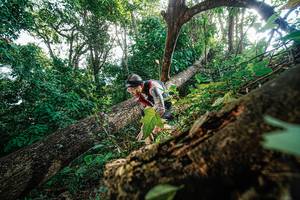 BIB: 
                            <button type="button" onclick="openModal(22778182)" class="btn btn-primary btn-sm float-right btn-popup" data-toggle="modal" data-target=".modal-high-quality">
                        <i class="fas fa-shopping-cart"></i> Add to Cart
                    </button>
                                            <button type="button" onclick="isThisMe(22778182, true)" class="btn btn-success btn-sm float-right btn-popup btn-isme hidden" data-toggle="tooltip" data-placement="bottom" title="นี่คือรูปของคุณใช่ไหม คลิกที่นี่เพื่อเอาเข้าอัลบั้ม">
                        <i class="fas fa-plus"></i> Add to album
                    </button>
                    <button type="button" onclick="isThisMe(22778182, false)" class="btn btn-warning btn-sm float-right btn-popup btn-isnotme hidden">
                        <i class="fas fa-ban"></i> Remove from album
                    </button>