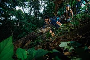 BIB: 
                            <button type="button" onclick="openModal(22776986)" class="btn btn-primary btn-sm float-right btn-popup" data-toggle="modal" data-target=".modal-high-quality">
                        <i class="fas fa-shopping-cart"></i> Add to Cart
                    </button>
                                            <button type="button" onclick="isThisMe(22776986, true)" class="btn btn-success btn-sm float-right btn-popup btn-isme hidden" data-toggle="tooltip" data-placement="bottom" title="นี่คือรูปของคุณใช่ไหม คลิกที่นี่เพื่อเอาเข้าอัลบั้ม">
                        <i class="fas fa-plus"></i> Add to album
                    </button>
                    <button type="button" onclick="isThisMe(22776986, false)" class="btn btn-warning btn-sm float-right btn-popup btn-isnotme hidden">
                        <i class="fas fa-ban"></i> Remove from album
                    </button>