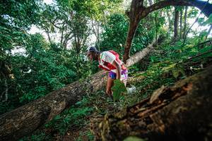 BIB: 
                            <button type="button" onclick="openModal(22778344)" class="btn btn-primary btn-sm float-right btn-popup" data-toggle="modal" data-target=".modal-high-quality">
                        <i class="fas fa-shopping-cart"></i> Add to Cart
                    </button>
                                            <button type="button" onclick="isThisMe(22778344, true)" class="btn btn-success btn-sm float-right btn-popup btn-isme hidden" data-toggle="tooltip" data-placement="bottom" title="นี่คือรูปของคุณใช่ไหม คลิกที่นี่เพื่อเอาเข้าอัลบั้ม">
                        <i class="fas fa-plus"></i> Add to album
                    </button>
                    <button type="button" onclick="isThisMe(22778344, false)" class="btn btn-warning btn-sm float-right btn-popup btn-isnotme hidden">
                        <i class="fas fa-ban"></i> Remove from album
                    </button>