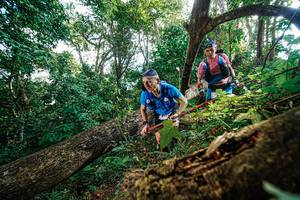 BIB: 
                            <button type="button" onclick="openModal(22778038)" class="btn btn-primary btn-sm float-right btn-popup" data-toggle="modal" data-target=".modal-high-quality">
                        <i class="fas fa-shopping-cart"></i> Add to Cart
                    </button>
                                            <button type="button" onclick="isThisMe(22778038, true)" class="btn btn-success btn-sm float-right btn-popup btn-isme hidden" data-toggle="tooltip" data-placement="bottom" title="นี่คือรูปของคุณใช่ไหม คลิกที่นี่เพื่อเอาเข้าอัลบั้ม">
                        <i class="fas fa-plus"></i> Add to album
                    </button>
                    <button type="button" onclick="isThisMe(22778038, false)" class="btn btn-warning btn-sm float-right btn-popup btn-isnotme hidden">
                        <i class="fas fa-ban"></i> Remove from album
                    </button>