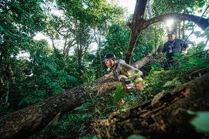 BIB: 
                            <button type="button" onclick="openModal(22777828)" class="btn btn-primary btn-sm float-right btn-popup" data-toggle="modal" data-target=".modal-high-quality">
                        <i class="fas fa-shopping-cart"></i> Add to Cart
                    </button>
                                            <button type="button" onclick="isThisMe(22777828, true)" class="btn btn-success btn-sm float-right btn-popup btn-isme hidden" data-toggle="tooltip" data-placement="bottom" title="นี่คือรูปของคุณใช่ไหม คลิกที่นี่เพื่อเอาเข้าอัลบั้ม">
                        <i class="fas fa-plus"></i> Add to album
                    </button>
                    <button type="button" onclick="isThisMe(22777828, false)" class="btn btn-warning btn-sm float-right btn-popup btn-isnotme hidden">
                        <i class="fas fa-ban"></i> Remove from album
                    </button>