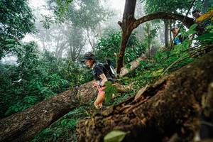 BIB: 
                            <button type="button" onclick="openModal(22778881)" class="btn btn-primary btn-sm float-right btn-popup" data-toggle="modal" data-target=".modal-high-quality">
                        <i class="fas fa-shopping-cart"></i> Add to Cart
                    </button>
                                            <button type="button" onclick="isThisMe(22778881, true)" class="btn btn-success btn-sm float-right btn-popup btn-isme hidden" data-toggle="tooltip" data-placement="bottom" title="นี่คือรูปของคุณใช่ไหม คลิกที่นี่เพื่อเอาเข้าอัลบั้ม">
                        <i class="fas fa-plus"></i> Add to album
                    </button>
                    <button type="button" onclick="isThisMe(22778881, false)" class="btn btn-warning btn-sm float-right btn-popup btn-isnotme hidden">
                        <i class="fas fa-ban"></i> Remove from album
                    </button>