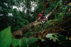 BIB: 
                            <button type="button" onclick="openModal(22776859)" class="btn btn-primary btn-sm float-right btn-popup" data-toggle="modal" data-target=".modal-high-quality">
                        <i class="fas fa-shopping-cart"></i> Add to Cart
                    </button>
                                            <button type="button" onclick="isThisMe(22776859, true)" class="btn btn-success btn-sm float-right btn-popup btn-isme hidden" data-toggle="tooltip" data-placement="bottom" title="นี่คือรูปของคุณใช่ไหม คลิกที่นี่เพื่อเอาเข้าอัลบั้ม">
                        <i class="fas fa-plus"></i> Add to album
                    </button>
                    <button type="button" onclick="isThisMe(22776859, false)" class="btn btn-warning btn-sm float-right btn-popup btn-isnotme hidden">
                        <i class="fas fa-ban"></i> Remove from album
                    </button>