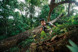 BIB: 
                            <button type="button" onclick="openModal(22778222)" class="btn btn-primary btn-sm float-right btn-popup" data-toggle="modal" data-target=".modal-high-quality">
                        <i class="fas fa-shopping-cart"></i> Add to Cart
                    </button>
                                            <button type="button" onclick="isThisMe(22778222, true)" class="btn btn-success btn-sm float-right btn-popup btn-isme hidden" data-toggle="tooltip" data-placement="bottom" title="นี่คือรูปของคุณใช่ไหม คลิกที่นี่เพื่อเอาเข้าอัลบั้ม">
                        <i class="fas fa-plus"></i> Add to album
                    </button>
                    <button type="button" onclick="isThisMe(22778222, false)" class="btn btn-warning btn-sm float-right btn-popup btn-isnotme hidden">
                        <i class="fas fa-ban"></i> Remove from album
                    </button>