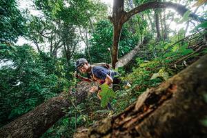 BIB: 
                            <button type="button" onclick="openModal(22778269)" class="btn btn-primary btn-sm float-right btn-popup" data-toggle="modal" data-target=".modal-high-quality">
                        <i class="fas fa-shopping-cart"></i> Add to Cart
                    </button>
                                            <button type="button" onclick="isThisMe(22778269, true)" class="btn btn-success btn-sm float-right btn-popup btn-isme hidden" data-toggle="tooltip" data-placement="bottom" title="นี่คือรูปของคุณใช่ไหม คลิกที่นี่เพื่อเอาเข้าอัลบั้ม">
                        <i class="fas fa-plus"></i> Add to album
                    </button>
                    <button type="button" onclick="isThisMe(22778269, false)" class="btn btn-warning btn-sm float-right btn-popup btn-isnotme hidden">
                        <i class="fas fa-ban"></i> Remove from album
                    </button>