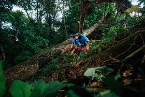 BIB: 
                            <button type="button" onclick="openModal(22777196)" class="btn btn-primary btn-sm float-right btn-popup" data-toggle="modal" data-target=".modal-high-quality">
                        <i class="fas fa-shopping-cart"></i> Add to Cart
                    </button>
                                            <button type="button" onclick="isThisMe(22777196, true)" class="btn btn-success btn-sm float-right btn-popup btn-isme hidden" data-toggle="tooltip" data-placement="bottom" title="นี่คือรูปของคุณใช่ไหม คลิกที่นี่เพื่อเอาเข้าอัลบั้ม">
                        <i class="fas fa-plus"></i> Add to album
                    </button>
                    <button type="button" onclick="isThisMe(22777196, false)" class="btn btn-warning btn-sm float-right btn-popup btn-isnotme hidden">
                        <i class="fas fa-ban"></i> Remove from album
                    </button>