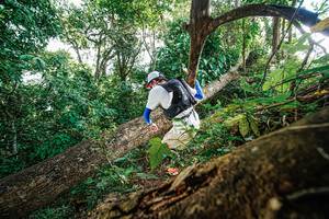 BIB: 
                            <button type="button" onclick="openModal(22778587)" class="btn btn-primary btn-sm float-right btn-popup" data-toggle="modal" data-target=".modal-high-quality">
                        <i class="fas fa-shopping-cart"></i> Add to Cart
                    </button>
                                            <button type="button" onclick="isThisMe(22778587, true)" class="btn btn-success btn-sm float-right btn-popup btn-isme hidden" data-toggle="tooltip" data-placement="bottom" title="นี่คือรูปของคุณใช่ไหม คลิกที่นี่เพื่อเอาเข้าอัลบั้ม">
                        <i class="fas fa-plus"></i> Add to album
                    </button>
                    <button type="button" onclick="isThisMe(22778587, false)" class="btn btn-warning btn-sm float-right btn-popup btn-isnotme hidden">
                        <i class="fas fa-ban"></i> Remove from album
                    </button>