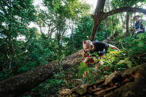 BIB: 
                            <button type="button" onclick="openModal(22778103)" class="btn btn-primary btn-sm float-right btn-popup" data-toggle="modal" data-target=".modal-high-quality">
                        <i class="fas fa-shopping-cart"></i> Add to Cart
                    </button>
                                            <button type="button" onclick="isThisMe(22778103, true)" class="btn btn-success btn-sm float-right btn-popup btn-isme hidden" data-toggle="tooltip" data-placement="bottom" title="นี่คือรูปของคุณใช่ไหม คลิกที่นี่เพื่อเอาเข้าอัลบั้ม">
                        <i class="fas fa-plus"></i> Add to album
                    </button>
                    <button type="button" onclick="isThisMe(22778103, false)" class="btn btn-warning btn-sm float-right btn-popup btn-isnotme hidden">
                        <i class="fas fa-ban"></i> Remove from album
                    </button>