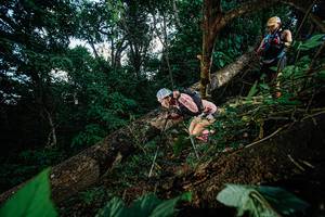 BIB: 
                            <button type="button" onclick="openModal(22775624)" class="btn btn-primary btn-sm float-right btn-popup" data-toggle="modal" data-target=".modal-high-quality">
                        <i class="fas fa-shopping-cart"></i> Add to Cart
                    </button>
                                            <button type="button" onclick="isThisMe(22775624, true)" class="btn btn-success btn-sm float-right btn-popup btn-isme hidden" data-toggle="tooltip" data-placement="bottom" title="นี่คือรูปของคุณใช่ไหม คลิกที่นี่เพื่อเอาเข้าอัลบั้ม">
                        <i class="fas fa-plus"></i> Add to album
                    </button>
                    <button type="button" onclick="isThisMe(22775624, false)" class="btn btn-warning btn-sm float-right btn-popup btn-isnotme hidden">
                        <i class="fas fa-ban"></i> Remove from album
                    </button>