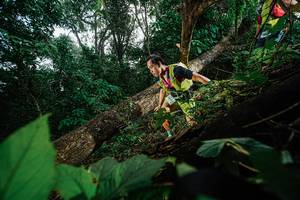 BIB: 
                            <button type="button" onclick="openModal(22776893)" class="btn btn-primary btn-sm float-right btn-popup" data-toggle="modal" data-target=".modal-high-quality">
                        <i class="fas fa-shopping-cart"></i> Add to Cart
                    </button>
                                            <button type="button" onclick="isThisMe(22776893, true)" class="btn btn-success btn-sm float-right btn-popup btn-isme hidden" data-toggle="tooltip" data-placement="bottom" title="นี่คือรูปของคุณใช่ไหม คลิกที่นี่เพื่อเอาเข้าอัลบั้ม">
                        <i class="fas fa-plus"></i> Add to album
                    </button>
                    <button type="button" onclick="isThisMe(22776893, false)" class="btn btn-warning btn-sm float-right btn-popup btn-isnotme hidden">
                        <i class="fas fa-ban"></i> Remove from album
                    </button>