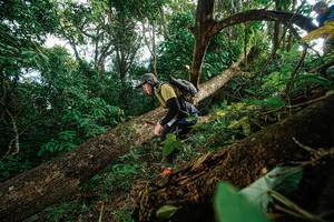 BIB: 
                            <button type="button" onclick="openModal(22777420)" class="btn btn-primary btn-sm float-right btn-popup" data-toggle="modal" data-target=".modal-high-quality">
                        <i class="fas fa-shopping-cart"></i> Add to Cart
                    </button>
                                            <button type="button" onclick="isThisMe(22777420, true)" class="btn btn-success btn-sm float-right btn-popup btn-isme hidden" data-toggle="tooltip" data-placement="bottom" title="นี่คือรูปของคุณใช่ไหม คลิกที่นี่เพื่อเอาเข้าอัลบั้ม">
                        <i class="fas fa-plus"></i> Add to album
                    </button>
                    <button type="button" onclick="isThisMe(22777420, false)" class="btn btn-warning btn-sm float-right btn-popup btn-isnotme hidden">
                        <i class="fas fa-ban"></i> Remove from album
                    </button>