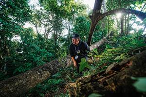 BIB: 
                            <button type="button" onclick="openModal(22777831)" class="btn btn-primary btn-sm float-right btn-popup" data-toggle="modal" data-target=".modal-high-quality">
                        <i class="fas fa-shopping-cart"></i> Add to Cart
                    </button>
                                            <button type="button" onclick="isThisMe(22777831, true)" class="btn btn-success btn-sm float-right btn-popup btn-isme hidden" data-toggle="tooltip" data-placement="bottom" title="นี่คือรูปของคุณใช่ไหม คลิกที่นี่เพื่อเอาเข้าอัลบั้ม">
                        <i class="fas fa-plus"></i> Add to album
                    </button>
                    <button type="button" onclick="isThisMe(22777831, false)" class="btn btn-warning btn-sm float-right btn-popup btn-isnotme hidden">
                        <i class="fas fa-ban"></i> Remove from album
                    </button>