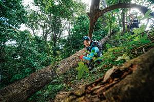 BIB: 
                            <button type="button" onclick="openModal(22778267)" class="btn btn-primary btn-sm float-right btn-popup" data-toggle="modal" data-target=".modal-high-quality">
                        <i class="fas fa-shopping-cart"></i> Add to Cart
                    </button>
                                            <button type="button" onclick="isThisMe(22778267, true)" class="btn btn-success btn-sm float-right btn-popup btn-isme hidden" data-toggle="tooltip" data-placement="bottom" title="นี่คือรูปของคุณใช่ไหม คลิกที่นี่เพื่อเอาเข้าอัลบั้ม">
                        <i class="fas fa-plus"></i> Add to album
                    </button>
                    <button type="button" onclick="isThisMe(22778267, false)" class="btn btn-warning btn-sm float-right btn-popup btn-isnotme hidden">
                        <i class="fas fa-ban"></i> Remove from album
                    </button>