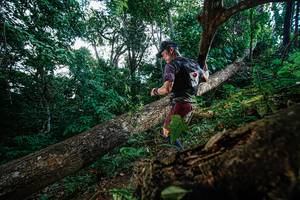 BIB: 
                            <button type="button" onclick="openModal(22778356)" class="btn btn-primary btn-sm float-right btn-popup" data-toggle="modal" data-target=".modal-high-quality">
                        <i class="fas fa-shopping-cart"></i> Add to Cart
                    </button>
                                            <button type="button" onclick="isThisMe(22778356, true)" class="btn btn-success btn-sm float-right btn-popup btn-isme hidden" data-toggle="tooltip" data-placement="bottom" title="นี่คือรูปของคุณใช่ไหม คลิกที่นี่เพื่อเอาเข้าอัลบั้ม">
                        <i class="fas fa-plus"></i> Add to album
                    </button>
                    <button type="button" onclick="isThisMe(22778356, false)" class="btn btn-warning btn-sm float-right btn-popup btn-isnotme hidden">
                        <i class="fas fa-ban"></i> Remove from album
                    </button>