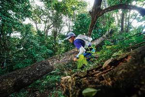 BIB: 
                            <button type="button" onclick="openModal(22778196)" class="btn btn-primary btn-sm float-right btn-popup" data-toggle="modal" data-target=".modal-high-quality">
                        <i class="fas fa-shopping-cart"></i> Add to Cart
                    </button>
                                            <button type="button" onclick="isThisMe(22778196, true)" class="btn btn-success btn-sm float-right btn-popup btn-isme hidden" data-toggle="tooltip" data-placement="bottom" title="นี่คือรูปของคุณใช่ไหม คลิกที่นี่เพื่อเอาเข้าอัลบั้ม">
                        <i class="fas fa-plus"></i> Add to album
                    </button>
                    <button type="button" onclick="isThisMe(22778196, false)" class="btn btn-warning btn-sm float-right btn-popup btn-isnotme hidden">
                        <i class="fas fa-ban"></i> Remove from album
                    </button>