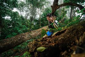 BIB: 
                            <button type="button" onclick="openModal(22778957)" class="btn btn-primary btn-sm float-right btn-popup" data-toggle="modal" data-target=".modal-high-quality">
                        <i class="fas fa-shopping-cart"></i> Add to Cart
                    </button>
                                            <button type="button" onclick="isThisMe(22778957, true)" class="btn btn-success btn-sm float-right btn-popup btn-isme hidden" data-toggle="tooltip" data-placement="bottom" title="นี่คือรูปของคุณใช่ไหม คลิกที่นี่เพื่อเอาเข้าอัลบั้ม">
                        <i class="fas fa-plus"></i> Add to album
                    </button>
                    <button type="button" onclick="isThisMe(22778957, false)" class="btn btn-warning btn-sm float-right btn-popup btn-isnotme hidden">
                        <i class="fas fa-ban"></i> Remove from album
                    </button>