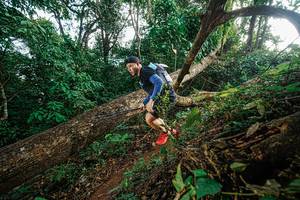 BIB: 
                            <button type="button" onclick="openModal(22777546)" class="btn btn-primary btn-sm float-right btn-popup" data-toggle="modal" data-target=".modal-high-quality">
                        <i class="fas fa-shopping-cart"></i> Add to Cart
                    </button>
                                            <button type="button" onclick="isThisMe(22777546, true)" class="btn btn-success btn-sm float-right btn-popup btn-isme hidden" data-toggle="tooltip" data-placement="bottom" title="นี่คือรูปของคุณใช่ไหม คลิกที่นี่เพื่อเอาเข้าอัลบั้ม">
                        <i class="fas fa-plus"></i> Add to album
                    </button>
                    <button type="button" onclick="isThisMe(22777546, false)" class="btn btn-warning btn-sm float-right btn-popup btn-isnotme hidden">
                        <i class="fas fa-ban"></i> Remove from album
                    </button>