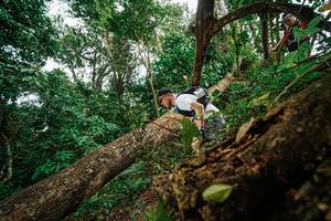 BIB: 
                            <button type="button" onclick="openModal(22779057)" class="btn btn-primary btn-sm float-right btn-popup" data-toggle="modal" data-target=".modal-high-quality">
                        <i class="fas fa-shopping-cart"></i> Add to Cart
                    </button>
                                            <button type="button" onclick="isThisMe(22779057, true)" class="btn btn-success btn-sm float-right btn-popup btn-isme hidden" data-toggle="tooltip" data-placement="bottom" title="นี่คือรูปของคุณใช่ไหม คลิกที่นี่เพื่อเอาเข้าอัลบั้ม">
                        <i class="fas fa-plus"></i> Add to album
                    </button>
                    <button type="button" onclick="isThisMe(22779057, false)" class="btn btn-warning btn-sm float-right btn-popup btn-isnotme hidden">
                        <i class="fas fa-ban"></i> Remove from album
                    </button>