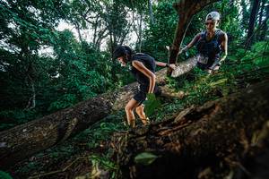 BIB: 
                            <button type="button" onclick="openModal(22778364)" class="btn btn-primary btn-sm float-right btn-popup" data-toggle="modal" data-target=".modal-high-quality">
                        <i class="fas fa-shopping-cart"></i> Add to Cart
                    </button>
                                            <button type="button" onclick="isThisMe(22778364, true)" class="btn btn-success btn-sm float-right btn-popup btn-isme hidden" data-toggle="tooltip" data-placement="bottom" title="นี่คือรูปของคุณใช่ไหม คลิกที่นี่เพื่อเอาเข้าอัลบั้ม">
                        <i class="fas fa-plus"></i> Add to album
                    </button>
                    <button type="button" onclick="isThisMe(22778364, false)" class="btn btn-warning btn-sm float-right btn-popup btn-isnotme hidden">
                        <i class="fas fa-ban"></i> Remove from album
                    </button>