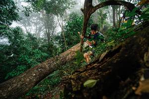 BIB: 
                            <button type="button" onclick="openModal(22778982)" class="btn btn-primary btn-sm float-right btn-popup" data-toggle="modal" data-target=".modal-high-quality">
                        <i class="fas fa-shopping-cart"></i> Add to Cart
                    </button>
                                            <button type="button" onclick="isThisMe(22778982, true)" class="btn btn-success btn-sm float-right btn-popup btn-isme hidden" data-toggle="tooltip" data-placement="bottom" title="นี่คือรูปของคุณใช่ไหม คลิกที่นี่เพื่อเอาเข้าอัลบั้ม">
                        <i class="fas fa-plus"></i> Add to album
                    </button>
                    <button type="button" onclick="isThisMe(22778982, false)" class="btn btn-warning btn-sm float-right btn-popup btn-isnotme hidden">
                        <i class="fas fa-ban"></i> Remove from album
                    </button>