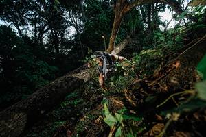 BIB: 
                            <button type="button" onclick="openModal(22774781)" class="btn btn-primary btn-sm float-right btn-popup" data-toggle="modal" data-target=".modal-high-quality">
                        <i class="fas fa-shopping-cart"></i> Add to Cart
                    </button>
                                            <button type="button" onclick="isThisMe(22774781, true)" class="btn btn-success btn-sm float-right btn-popup btn-isme hidden" data-toggle="tooltip" data-placement="bottom" title="นี่คือรูปของคุณใช่ไหม คลิกที่นี่เพื่อเอาเข้าอัลบั้ม">
                        <i class="fas fa-plus"></i> Add to album
                    </button>
                    <button type="button" onclick="isThisMe(22774781, false)" class="btn btn-warning btn-sm float-right btn-popup btn-isnotme hidden">
                        <i class="fas fa-ban"></i> Remove from album
                    </button>