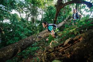 BIB: 
                            <button type="button" onclick="openModal(22778341)" class="btn btn-primary btn-sm float-right btn-popup" data-toggle="modal" data-target=".modal-high-quality">
                        <i class="fas fa-shopping-cart"></i> Add to Cart
                    </button>
                                            <button type="button" onclick="isThisMe(22778341, true)" class="btn btn-success btn-sm float-right btn-popup btn-isme hidden" data-toggle="tooltip" data-placement="bottom" title="นี่คือรูปของคุณใช่ไหม คลิกที่นี่เพื่อเอาเข้าอัลบั้ม">
                        <i class="fas fa-plus"></i> Add to album
                    </button>
                    <button type="button" onclick="isThisMe(22778341, false)" class="btn btn-warning btn-sm float-right btn-popup btn-isnotme hidden">
                        <i class="fas fa-ban"></i> Remove from album
                    </button>