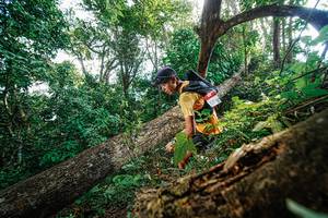 BIB: 
                            <button type="button" onclick="openModal(22778031)" class="btn btn-primary btn-sm float-right btn-popup" data-toggle="modal" data-target=".modal-high-quality">
                        <i class="fas fa-shopping-cart"></i> Add to Cart
                    </button>
                                            <button type="button" onclick="isThisMe(22778031, true)" class="btn btn-success btn-sm float-right btn-popup btn-isme hidden" data-toggle="tooltip" data-placement="bottom" title="นี่คือรูปของคุณใช่ไหม คลิกที่นี่เพื่อเอาเข้าอัลบั้ม">
                        <i class="fas fa-plus"></i> Add to album
                    </button>
                    <button type="button" onclick="isThisMe(22778031, false)" class="btn btn-warning btn-sm float-right btn-popup btn-isnotme hidden">
                        <i class="fas fa-ban"></i> Remove from album
                    </button>