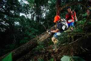 BIB: 94372
                            <button type="button" onclick="openModal(22775667)" class="btn btn-primary btn-sm float-right btn-popup" data-toggle="modal" data-target=".modal-high-quality">
                        <i class="fas fa-shopping-cart"></i> Add to Cart
                    </button>
                                            <button type="button" onclick="isThisMe(22775667, true)" class="btn btn-success btn-sm float-right btn-popup btn-isme hidden" data-toggle="tooltip" data-placement="bottom" title="นี่คือรูปของคุณใช่ไหม คลิกที่นี่เพื่อเอาเข้าอัลบั้ม">
                        <i class="fas fa-plus"></i> Add to album
                    </button>
                    <button type="button" onclick="isThisMe(22775667, false)" class="btn btn-warning btn-sm float-right btn-popup btn-isnotme hidden">
                        <i class="fas fa-ban"></i> Remove from album
                    </button>