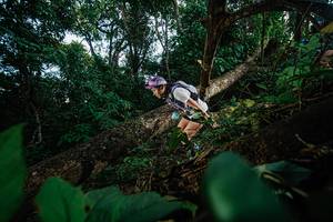 BIB: 
                            <button type="button" onclick="openModal(22777359)" class="btn btn-primary btn-sm float-right btn-popup" data-toggle="modal" data-target=".modal-high-quality">
                        <i class="fas fa-shopping-cart"></i> Add to Cart
                    </button>
                                            <button type="button" onclick="isThisMe(22777359, true)" class="btn btn-success btn-sm float-right btn-popup btn-isme hidden" data-toggle="tooltip" data-placement="bottom" title="นี่คือรูปของคุณใช่ไหม คลิกที่นี่เพื่อเอาเข้าอัลบั้ม">
                        <i class="fas fa-plus"></i> Add to album
                    </button>
                    <button type="button" onclick="isThisMe(22777359, false)" class="btn btn-warning btn-sm float-right btn-popup btn-isnotme hidden">
                        <i class="fas fa-ban"></i> Remove from album
                    </button>