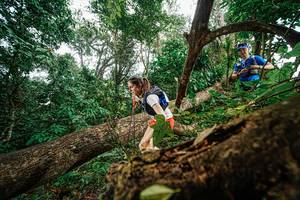 BIB: 
                            <button type="button" onclick="openModal(22778934)" class="btn btn-primary btn-sm float-right btn-popup" data-toggle="modal" data-target=".modal-high-quality">
                        <i class="fas fa-shopping-cart"></i> Add to Cart
                    </button>
                                            <button type="button" onclick="isThisMe(22778934, true)" class="btn btn-success btn-sm float-right btn-popup btn-isme hidden" data-toggle="tooltip" data-placement="bottom" title="นี่คือรูปของคุณใช่ไหม คลิกที่นี่เพื่อเอาเข้าอัลบั้ม">
                        <i class="fas fa-plus"></i> Add to album
                    </button>
                    <button type="button" onclick="isThisMe(22778934, false)" class="btn btn-warning btn-sm float-right btn-popup btn-isnotme hidden">
                        <i class="fas fa-ban"></i> Remove from album
                    </button>