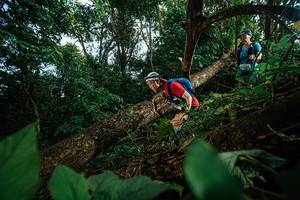 BIB: 
                            <button type="button" onclick="openModal(22777294)" class="btn btn-primary btn-sm float-right btn-popup" data-toggle="modal" data-target=".modal-high-quality">
                        <i class="fas fa-shopping-cart"></i> Add to Cart
                    </button>
                                            <button type="button" onclick="isThisMe(22777294, true)" class="btn btn-success btn-sm float-right btn-popup btn-isme hidden" data-toggle="tooltip" data-placement="bottom" title="นี่คือรูปของคุณใช่ไหม คลิกที่นี่เพื่อเอาเข้าอัลบั้ม">
                        <i class="fas fa-plus"></i> Add to album
                    </button>
                    <button type="button" onclick="isThisMe(22777294, false)" class="btn btn-warning btn-sm float-right btn-popup btn-isnotme hidden">
                        <i class="fas fa-ban"></i> Remove from album
                    </button>