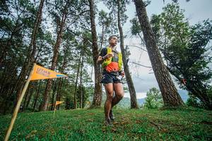 BIB: 
                            <button type="button" onclick="openModal(22317003)" class="btn btn-primary btn-sm float-right btn-popup" data-toggle="modal" data-target=".modal-high-quality">
                        <i class="fas fa-shopping-cart"></i> Add to Cart
                    </button>
                                            <button type="button" onclick="isThisMe(22317003, true)" class="btn btn-success btn-sm float-right btn-popup btn-isme hidden" data-toggle="tooltip" data-placement="bottom" title="นี่คือรูปของคุณใช่ไหม คลิกที่นี่เพื่อเอาเข้าอัลบั้ม">
                        <i class="fas fa-plus"></i> Add to album
                    </button>
                    <button type="button" onclick="isThisMe(22317003, false)" class="btn btn-warning btn-sm float-right btn-popup btn-isnotme hidden">
                        <i class="fas fa-ban"></i> Remove from album
                    </button>