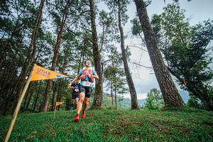 BIB: 132
                            <button type="button" onclick="openModal(22317058)" class="btn btn-primary btn-sm float-right btn-popup" data-toggle="modal" data-target=".modal-high-quality">
                        <i class="fas fa-shopping-cart"></i> Add to Cart
                    </button>
                                            <button type="button" onclick="isThisMe(22317058, true)" class="btn btn-success btn-sm float-right btn-popup btn-isme hidden" data-toggle="tooltip" data-placement="bottom" title="นี่คือรูปของคุณใช่ไหม คลิกที่นี่เพื่อเอาเข้าอัลบั้ม">
                        <i class="fas fa-plus"></i> Add to album
                    </button>
                    <button type="button" onclick="isThisMe(22317058, false)" class="btn btn-warning btn-sm float-right btn-popup btn-isnotme hidden">
                        <i class="fas fa-ban"></i> Remove from album
                    </button>