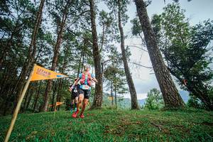 BIB: 123
                            <button type="button" onclick="openModal(22317057)" class="btn btn-primary btn-sm float-right btn-popup" data-toggle="modal" data-target=".modal-high-quality">
                        <i class="fas fa-shopping-cart"></i> Add to Cart
                    </button>
                                            <button type="button" onclick="isThisMe(22317057, true)" class="btn btn-success btn-sm float-right btn-popup btn-isme hidden" data-toggle="tooltip" data-placement="bottom" title="นี่คือรูปของคุณใช่ไหม คลิกที่นี่เพื่อเอาเข้าอัลบั้ม">
                        <i class="fas fa-plus"></i> Add to album
                    </button>
                    <button type="button" onclick="isThisMe(22317057, false)" class="btn btn-warning btn-sm float-right btn-popup btn-isnotme hidden">
                        <i class="fas fa-ban"></i> Remove from album
                    </button>