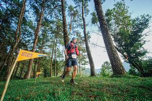 BIB: 8215
                            <button type="button" onclick="openModal(22317303)" class="btn btn-primary btn-sm float-right btn-popup" data-toggle="modal" data-target=".modal-high-quality">
                        <i class="fas fa-shopping-cart"></i> Add to Cart
                    </button>
                                            <button type="button" onclick="isThisMe(22317303, true)" class="btn btn-success btn-sm float-right btn-popup btn-isme hidden" data-toggle="tooltip" data-placement="bottom" title="นี่คือรูปของคุณใช่ไหม คลิกที่นี่เพื่อเอาเข้าอัลบั้ม">
                        <i class="fas fa-plus"></i> Add to album
                    </button>
                    <button type="button" onclick="isThisMe(22317303, false)" class="btn btn-warning btn-sm float-right btn-popup btn-isnotme hidden">
                        <i class="fas fa-ban"></i> Remove from album
                    </button>