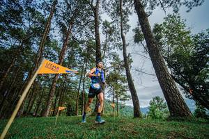 BIB: 
                            <button type="button" onclick="openModal(22316870)" class="btn btn-primary btn-sm float-right btn-popup" data-toggle="modal" data-target=".modal-high-quality">
                        <i class="fas fa-shopping-cart"></i> Add to Cart
                    </button>
                                            <button type="button" onclick="isThisMe(22316870, true)" class="btn btn-success btn-sm float-right btn-popup btn-isme hidden" data-toggle="tooltip" data-placement="bottom" title="นี่คือรูปของคุณใช่ไหม คลิกที่นี่เพื่อเอาเข้าอัลบั้ม">
                        <i class="fas fa-plus"></i> Add to album
                    </button>
                    <button type="button" onclick="isThisMe(22316870, false)" class="btn btn-warning btn-sm float-right btn-popup btn-isnotme hidden">
                        <i class="fas fa-ban"></i> Remove from album
                    </button>