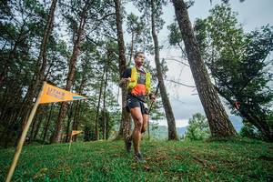 BIB: 3312, 101
                            <button type="button" onclick="openModal(22317001)" class="btn btn-primary btn-sm float-right btn-popup" data-toggle="modal" data-target=".modal-high-quality">
                        <i class="fas fa-shopping-cart"></i> Add to Cart
                    </button>
                                            <button type="button" onclick="isThisMe(22317001, true)" class="btn btn-success btn-sm float-right btn-popup btn-isme hidden" data-toggle="tooltip" data-placement="bottom" title="นี่คือรูปของคุณใช่ไหม คลิกที่นี่เพื่อเอาเข้าอัลบั้ม">
                        <i class="fas fa-plus"></i> Add to album
                    </button>
                    <button type="button" onclick="isThisMe(22317001, false)" class="btn btn-warning btn-sm float-right btn-popup btn-isnotme hidden">
                        <i class="fas fa-ban"></i> Remove from album
                    </button>