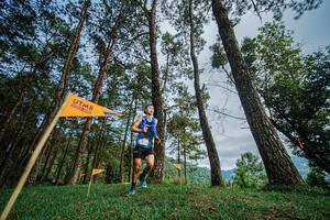 BIB: 
                            <button type="button" onclick="openModal(22316868)" class="btn btn-primary btn-sm float-right btn-popup" data-toggle="modal" data-target=".modal-high-quality">
                        <i class="fas fa-shopping-cart"></i> Add to Cart
                    </button>
                                            <button type="button" onclick="isThisMe(22316868, true)" class="btn btn-success btn-sm float-right btn-popup btn-isme hidden" data-toggle="tooltip" data-placement="bottom" title="นี่คือรูปของคุณใช่ไหม คลิกที่นี่เพื่อเอาเข้าอัลบั้ม">
                        <i class="fas fa-plus"></i> Add to album
                    </button>
                    <button type="button" onclick="isThisMe(22316868, false)" class="btn btn-warning btn-sm float-right btn-popup btn-isnotme hidden">
                        <i class="fas fa-ban"></i> Remove from album
                    </button>