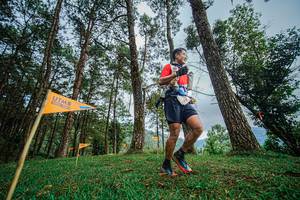 BIB: 
                            <button type="button" onclick="openModal(22316997)" class="btn btn-primary btn-sm float-right btn-popup" data-toggle="modal" data-target=".modal-high-quality">
                        <i class="fas fa-shopping-cart"></i> Add to Cart
                    </button>
                                            <button type="button" onclick="isThisMe(22316997, true)" class="btn btn-success btn-sm float-right btn-popup btn-isme hidden" data-toggle="tooltip" data-placement="bottom" title="นี่คือรูปของคุณใช่ไหม คลิกที่นี่เพื่อเอาเข้าอัลบั้ม">
                        <i class="fas fa-plus"></i> Add to album
                    </button>
                    <button type="button" onclick="isThisMe(22316997, false)" class="btn btn-warning btn-sm float-right btn-popup btn-isnotme hidden">
                        <i class="fas fa-ban"></i> Remove from album
                    </button>