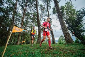 BIB: 3412
                            <button type="button" onclick="openModal(22316999)" class="btn btn-primary btn-sm float-right btn-popup" data-toggle="modal" data-target=".modal-high-quality">
                        <i class="fas fa-shopping-cart"></i> Add to Cart
                    </button>
                                            <button type="button" onclick="isThisMe(22316999, true)" class="btn btn-success btn-sm float-right btn-popup btn-isme hidden" data-toggle="tooltip" data-placement="bottom" title="นี่คือรูปของคุณใช่ไหม คลิกที่นี่เพื่อเอาเข้าอัลบั้ม">
                        <i class="fas fa-plus"></i> Add to album
                    </button>
                    <button type="button" onclick="isThisMe(22316999, false)" class="btn btn-warning btn-sm float-right btn-popup btn-isnotme hidden">
                        <i class="fas fa-ban"></i> Remove from album
                    </button>