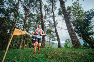 BIB: 122
                            <button type="button" onclick="openModal(22317059)" class="btn btn-primary btn-sm float-right btn-popup" data-toggle="modal" data-target=".modal-high-quality">
                        <i class="fas fa-shopping-cart"></i> Add to Cart
                    </button>
                                            <button type="button" onclick="isThisMe(22317059, true)" class="btn btn-success btn-sm float-right btn-popup btn-isme hidden" data-toggle="tooltip" data-placement="bottom" title="นี่คือรูปของคุณใช่ไหม คลิกที่นี่เพื่อเอาเข้าอัลบั้ม">
                        <i class="fas fa-plus"></i> Add to album
                    </button>
                    <button type="button" onclick="isThisMe(22317059, false)" class="btn btn-warning btn-sm float-right btn-popup btn-isnotme hidden">
                        <i class="fas fa-ban"></i> Remove from album
                    </button>