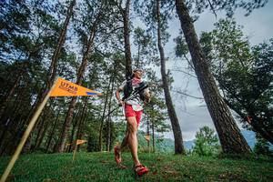 BIB: 
                            <button type="button" onclick="openModal(22316940)" class="btn btn-primary btn-sm float-right btn-popup" data-toggle="modal" data-target=".modal-high-quality">
                        <i class="fas fa-shopping-cart"></i> Add to Cart
                    </button>
                                            <button type="button" onclick="isThisMe(22316940, true)" class="btn btn-success btn-sm float-right btn-popup btn-isme hidden" data-toggle="tooltip" data-placement="bottom" title="นี่คือรูปของคุณใช่ไหม คลิกที่นี่เพื่อเอาเข้าอัลบั้ม">
                        <i class="fas fa-plus"></i> Add to album
                    </button>
                    <button type="button" onclick="isThisMe(22316940, false)" class="btn btn-warning btn-sm float-right btn-popup btn-isnotme hidden">
                        <i class="fas fa-ban"></i> Remove from album
                    </button>