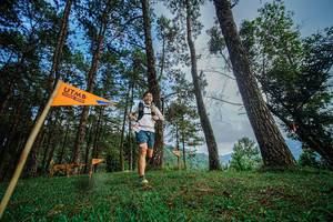 BIB: 
                            <button type="button" onclick="openModal(22316947)" class="btn btn-primary btn-sm float-right btn-popup" data-toggle="modal" data-target=".modal-high-quality">
                        <i class="fas fa-shopping-cart"></i> Add to Cart
                    </button>
                                            <button type="button" onclick="isThisMe(22316947, true)" class="btn btn-success btn-sm float-right btn-popup btn-isme hidden" data-toggle="tooltip" data-placement="bottom" title="นี่คือรูปของคุณใช่ไหม คลิกที่นี่เพื่อเอาเข้าอัลบั้ม">
                        <i class="fas fa-plus"></i> Add to album
                    </button>
                    <button type="button" onclick="isThisMe(22316947, false)" class="btn btn-warning btn-sm float-right btn-popup btn-isnotme hidden">
                        <i class="fas fa-ban"></i> Remove from album
                    </button>