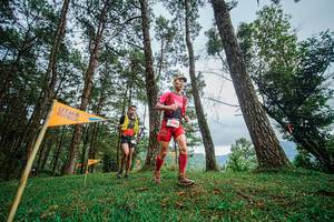 BIB: 
                            <button type="button" onclick="openModal(22316996)" class="btn btn-primary btn-sm float-right btn-popup" data-toggle="modal" data-target=".modal-high-quality">
                        <i class="fas fa-shopping-cart"></i> Add to Cart
                    </button>
                                            <button type="button" onclick="isThisMe(22316996, true)" class="btn btn-success btn-sm float-right btn-popup btn-isme hidden" data-toggle="tooltip" data-placement="bottom" title="นี่คือรูปของคุณใช่ไหม คลิกที่นี่เพื่อเอาเข้าอัลบั้ม">
                        <i class="fas fa-plus"></i> Add to album
                    </button>
                    <button type="button" onclick="isThisMe(22316996, false)" class="btn btn-warning btn-sm float-right btn-popup btn-isnotme hidden">
                        <i class="fas fa-ban"></i> Remove from album
                    </button>